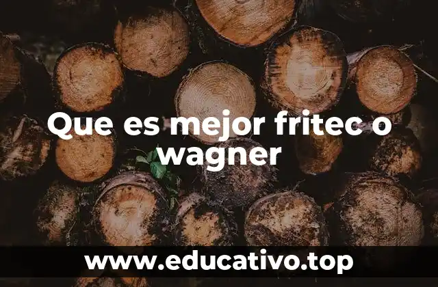 Que es mejor fritec o wagner