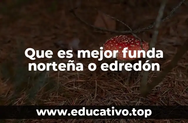 Ventajas y desventajas de cada opción