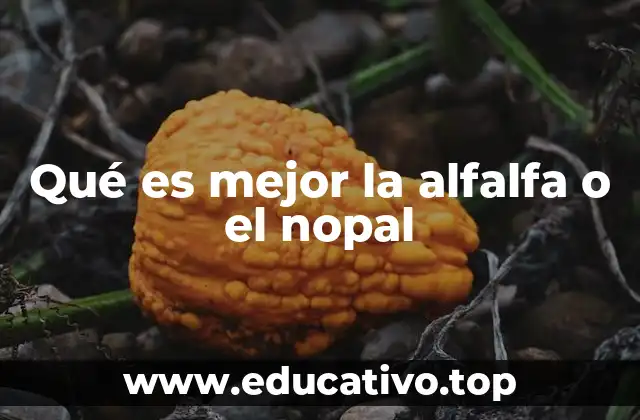 Qué es mejor la alfalfa o el nopal