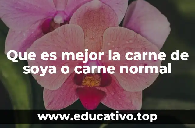 Que es mejor la carne de soya o carne normal