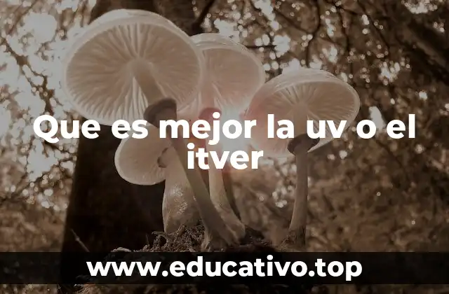 Que es mejor la uv o el itver