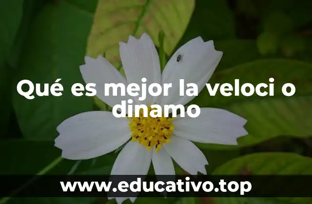 Qué es mejor la veloci o dinamo