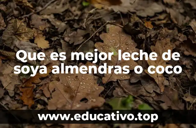 Características nutricionales de las leches vegetales