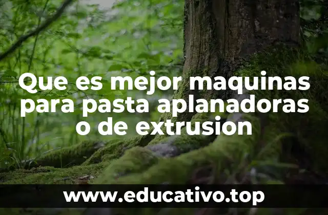 Que es mejor maquinas para pasta aplanadoras o de extrusion