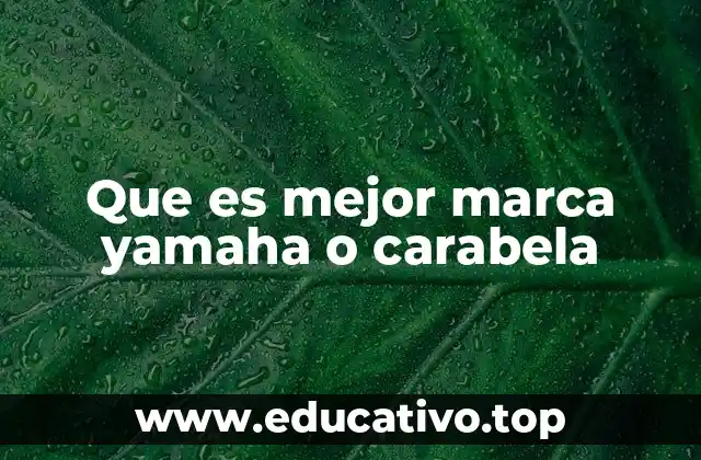 Que es mejor marca yamaha o carabela