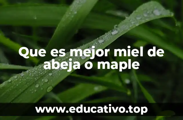 Que es mejor miel de abeja o maple