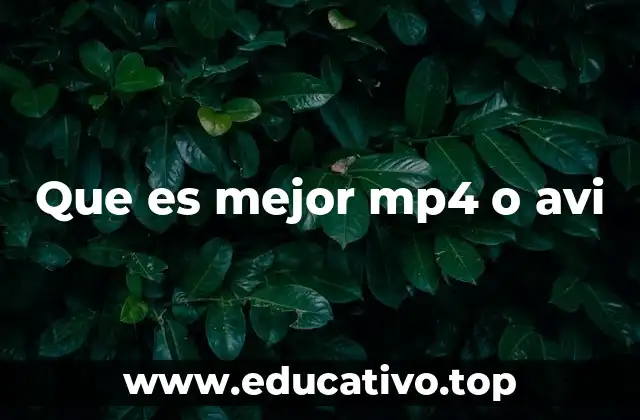 Que es mejor mp4 o avi