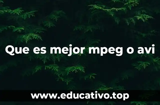 Que es mejor mpeg o avi