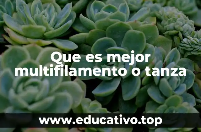 Que es mejor multifilamento o tanza