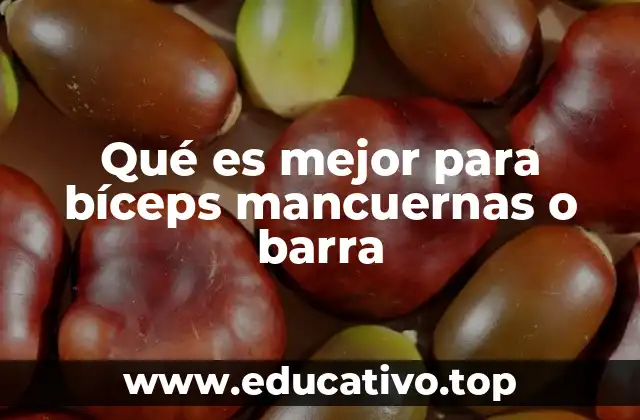 Qué es mejor para bíceps mancuernas o barra