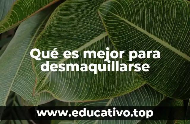 Cómo elegir el producto ideal para tu tipo de piel