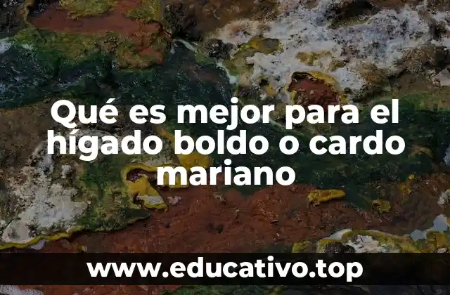 Qué es mejor para el hígado boldo o cardo mariano