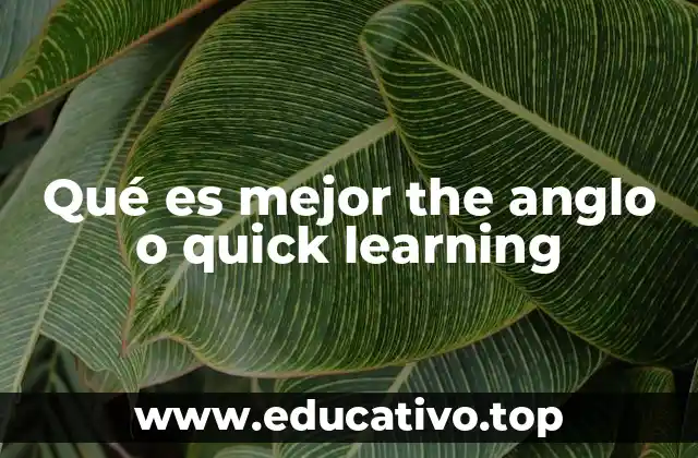 Qué es mejor the anglo o quick learning