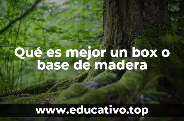 Ventajas y desventajas de cada opción para almacenamiento