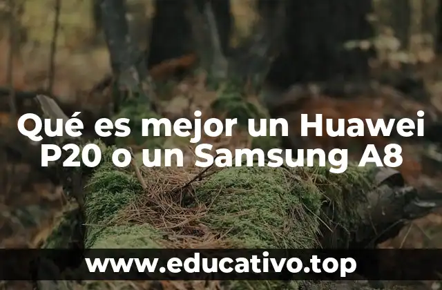 Comparando prestaciones clave sin mencionar modelos