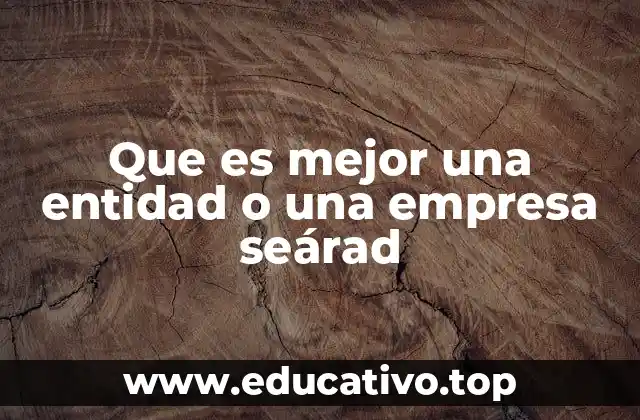 Que es mejor una entidad o una empresa seárad