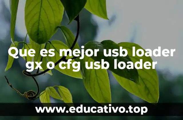 Comparando USB Loader GX y CFG USB Loader sin mencionar directamente las palabras clave