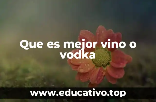 Que es mejor vino o vodka