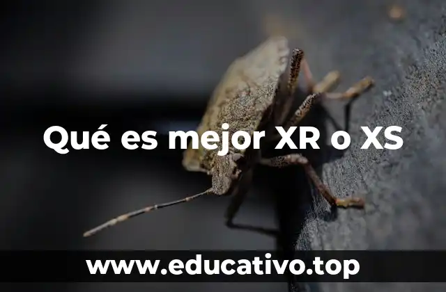 Qué es mejor XR o XS
