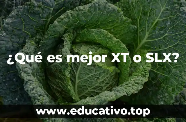 ¿Qué es mejor XT o SLX?