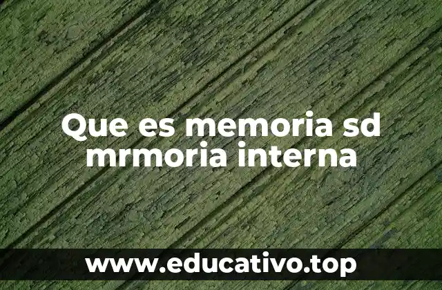 Que es memoria sd mrmoria interna