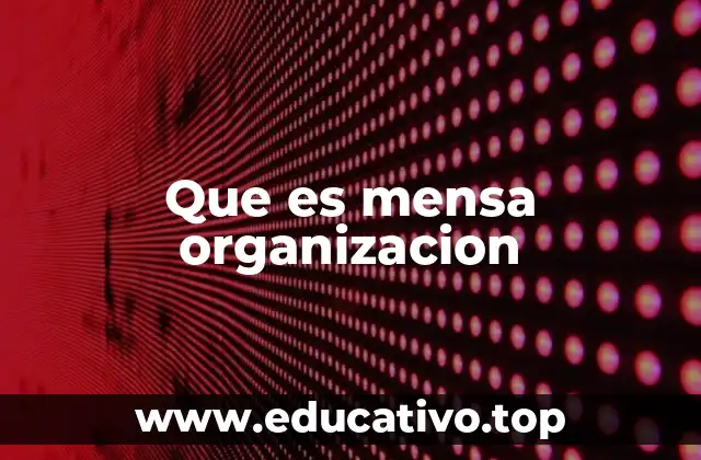 Que es mensa organizacion