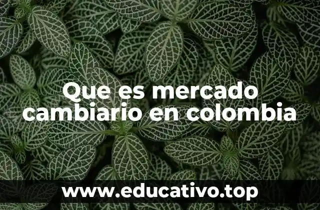 Que es mercado cambiario en colombia