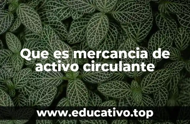 Que es mercancia de activo circulante