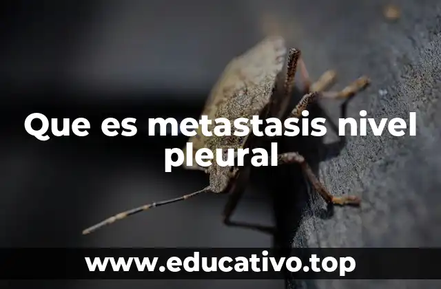 Que es metastasis nivel pleural