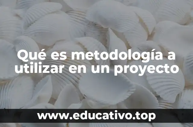 Qué es metodología a utilizar en un proyecto