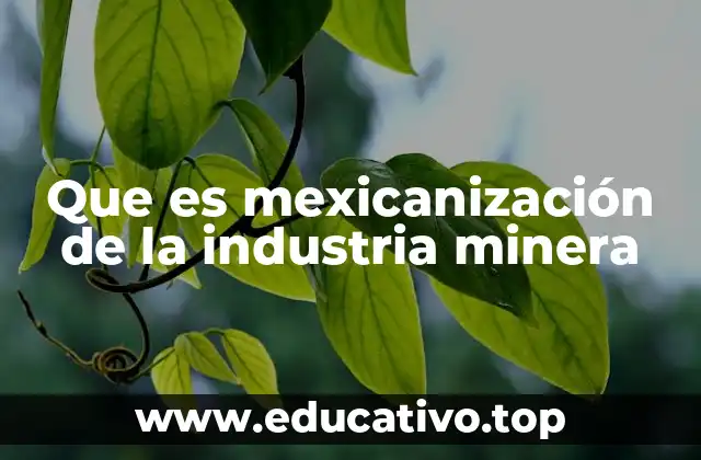 Que es mexicanización de la industria minera