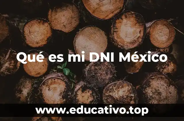 Qué es mi DNI México