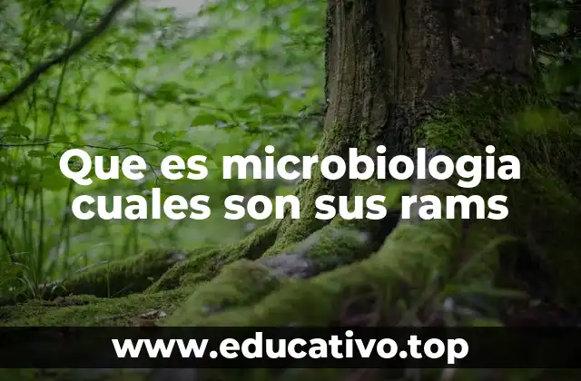 Los múltiples enfoques de la ciencia microbiana