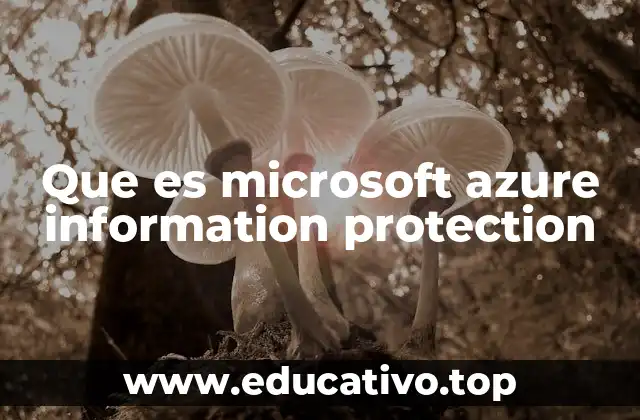 Cómo funciona la protección de información en Microsoft AIP