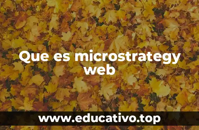 Que es microstrategy web