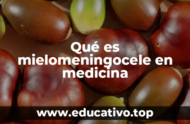 Cómo se produce el mielomeningocele durante el desarrollo fetal