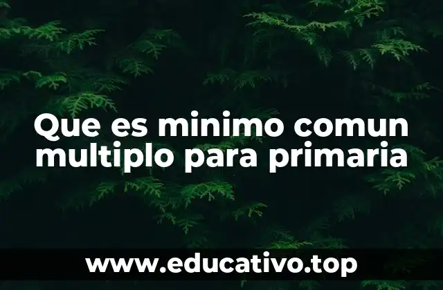 Que es minimo comun multiplo para primaria