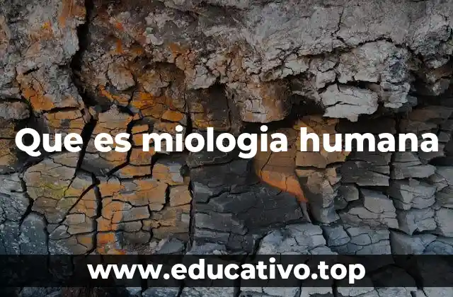 Que es miologia humana