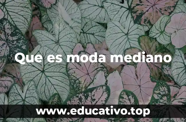 Cómo se manifiesta la moda mediano en la industria actual