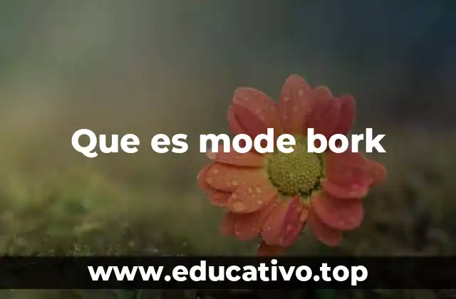 Que es mode bork