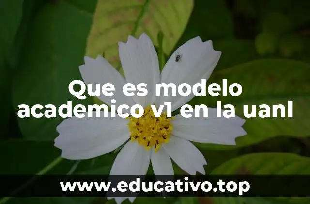 Que es modelo academico v1 en la uanl