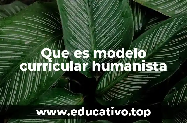 Que es modelo curricular humanista