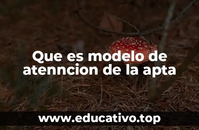 Que es modelo de atenncion de la apta