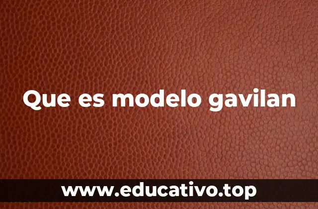 Que es modelo gavilan