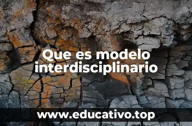 Que es modelo interdisciplinario