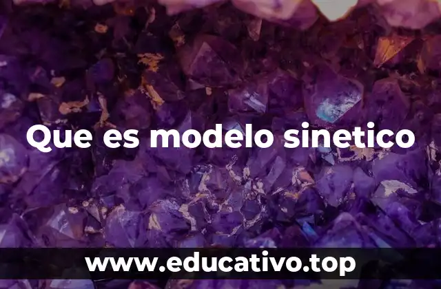 Que es modelo sinetico