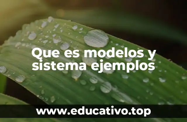 Que es modelos y sistema ejemplos