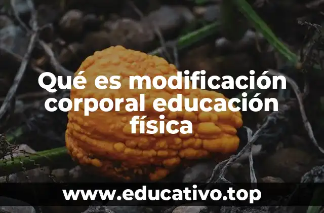 Qué es modificación corporal educación física