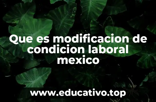 Cómo se da lugar a una modificación de condiciones laborales