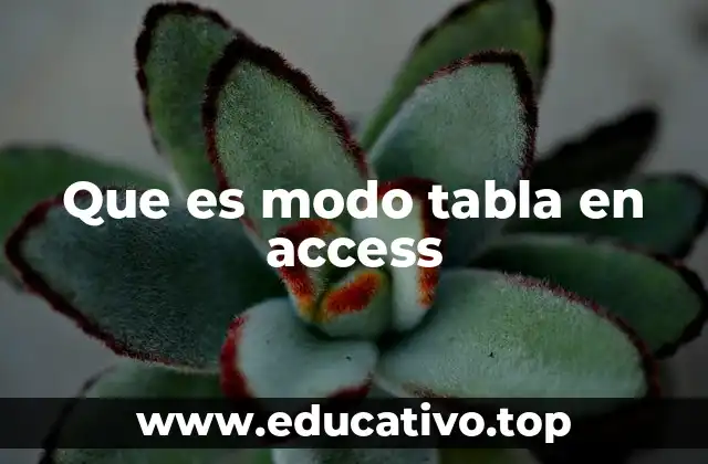 Cómo el modo tabla facilita la gestión de datos en Access